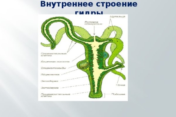 Кракен купить мефедрон