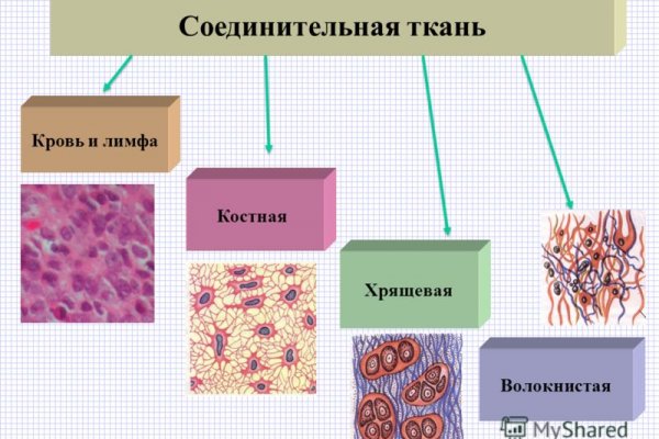 Кракен тор kraken014 com