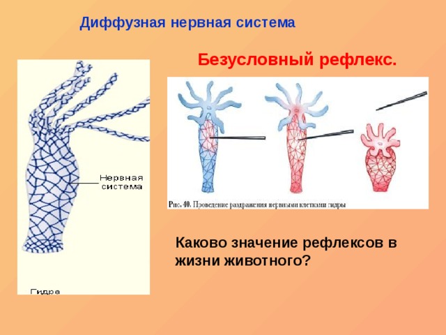 Кракен как попасть